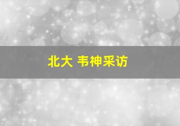 北大 韦神采访